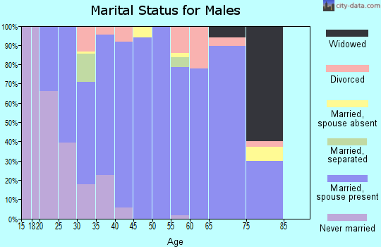 Zip code 79382 marital status for males