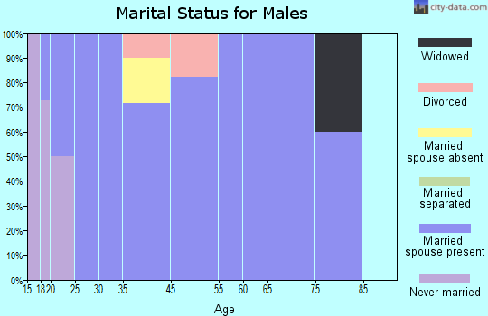 Zip code 79383 marital status for males