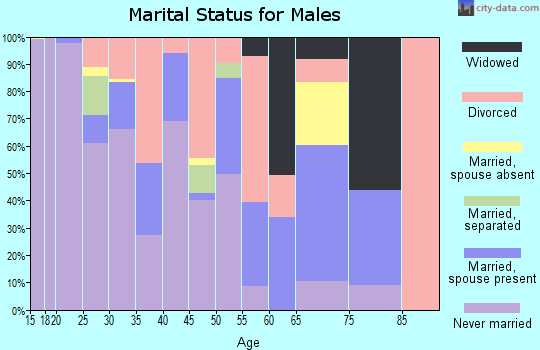Zip code 79401 marital status for males