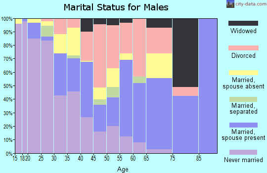 Zip code 79404 marital status for males