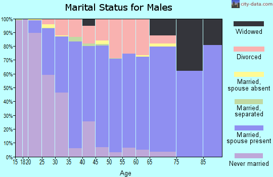 Zip code 79407 marital status for males