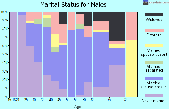Zip code 79410 marital status for males