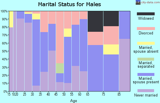 Zip code 79411 marital status for males
