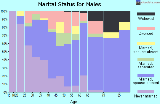 Zip code 79412 marital status for males