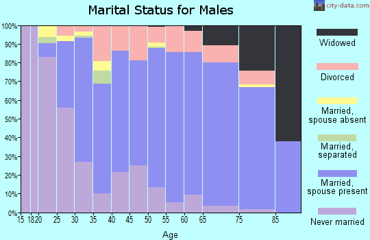 Zip code 79413 marital status for males