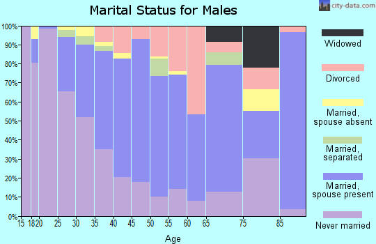 Zip code 79415 marital status for males