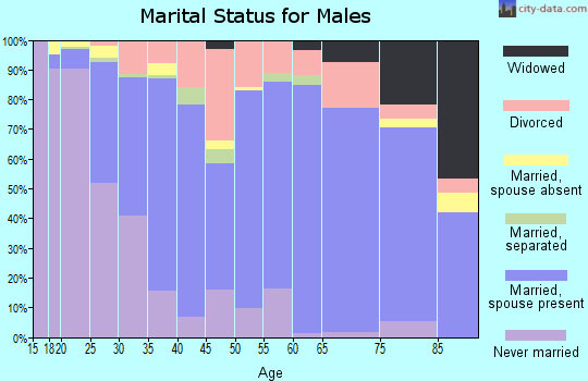 Zip code 79416 marital status for males