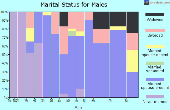 Zip code 79502 marital status for males