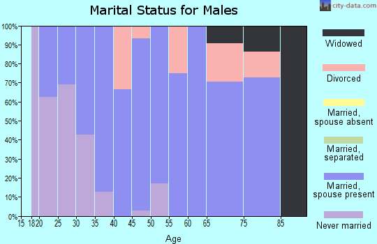 Zip code 79511 marital status for males