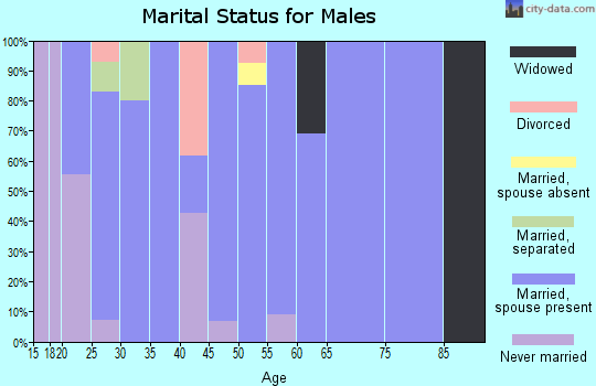 Zip code 79526 marital status for males