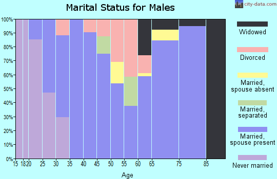 Zip code 79528 marital status for males