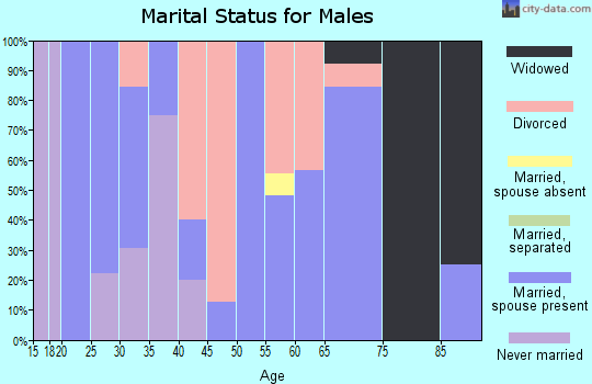 Zip code 79533 marital status for males