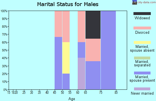 Zip code 79535 marital status for males