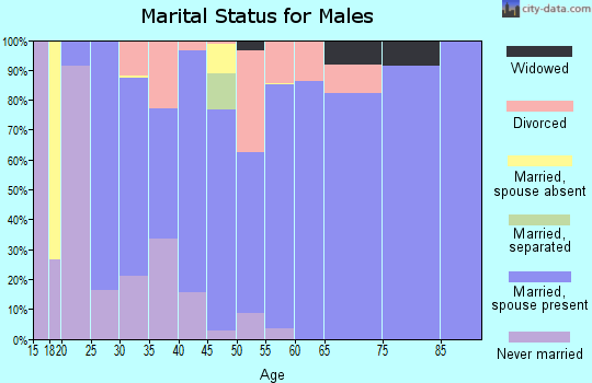 Zip code 79536 marital status for males