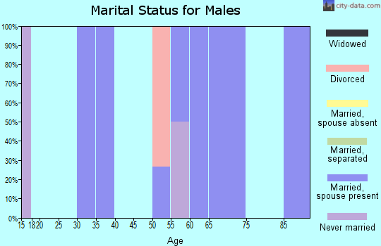 Zip code 79537 marital status for males