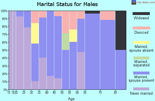 Zip code 79543 marital status for males