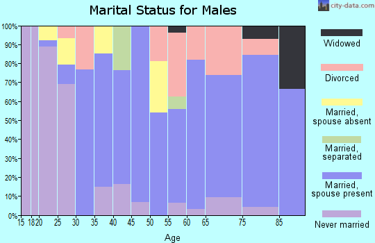 Zip code 79545 marital status for males