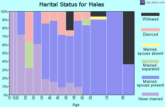 Zip code 79546 marital status for males