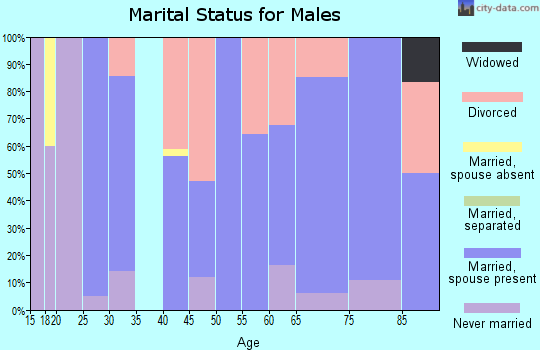 Zip code 79547 marital status for males