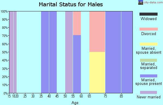 Zip code 79548 marital status for males