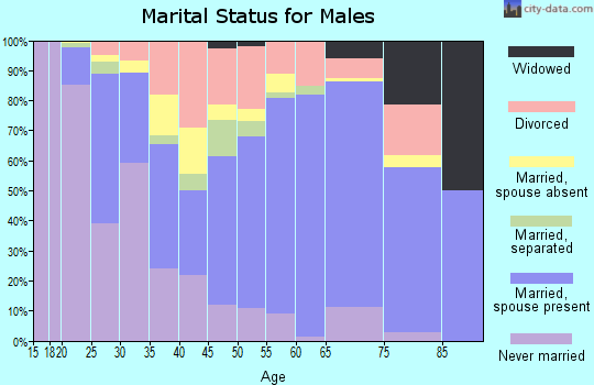 Zip code 79549 marital status for males