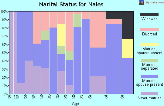 Zip code 79553 marital status for males