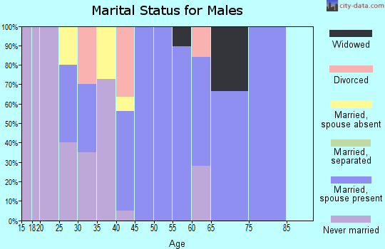 Zip code 79561 marital status for males