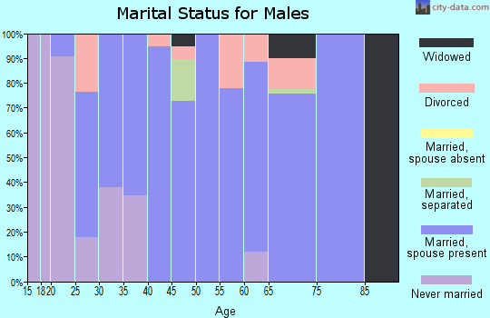 Zip code 79562 marital status for males