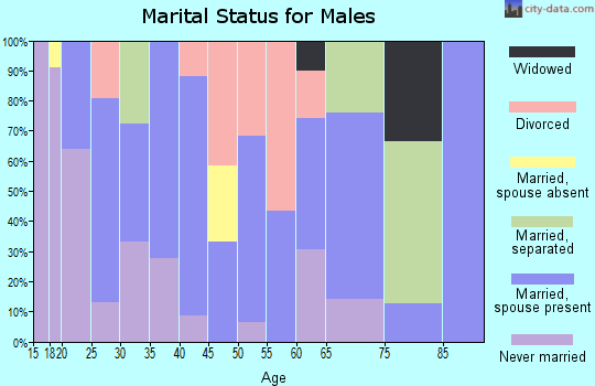 Zip code 79563 marital status for males