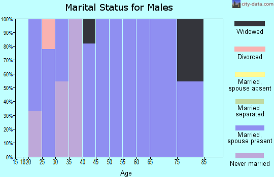 Zip code 79565 marital status for males
