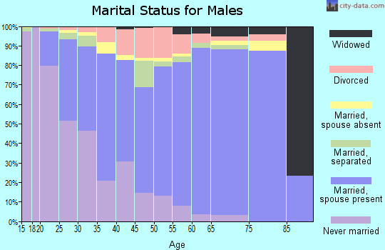 Zip code 79602 marital status for males