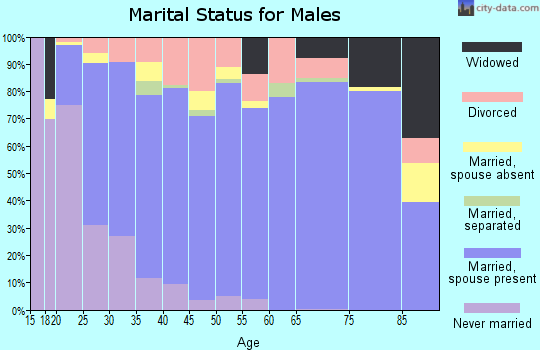 Zip code 79606 marital status for males