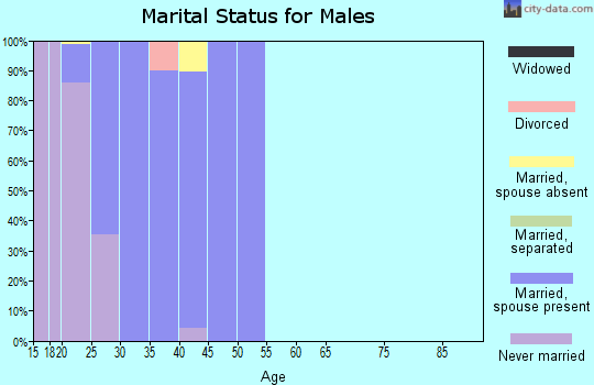 Zip code 79607 marital status for males