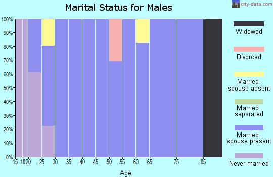 Zip code 79713 marital status for males