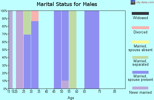 Zip code 79730 marital status for males