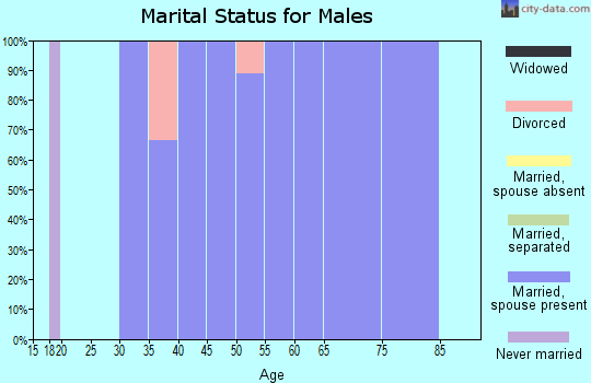 Zip code 79733 marital status for males
