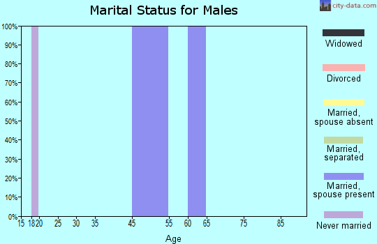 Zip code 79740 marital status for males