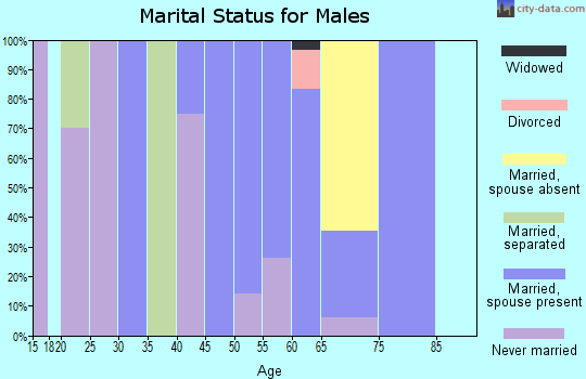 Zip code 79743 marital status for males