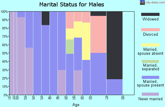 Zip code 79744 marital status for males