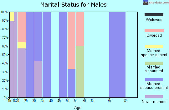 Zip code 79777 marital status for males