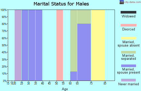 Zip code 79785 marital status for males
