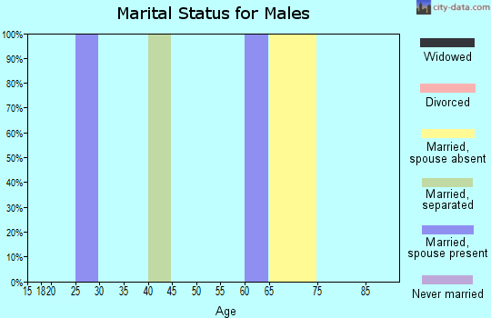 Zip code 79847 marital status for males