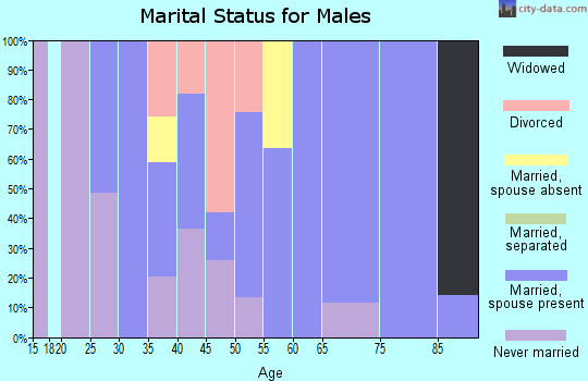 Zip code 79848 marital status for males