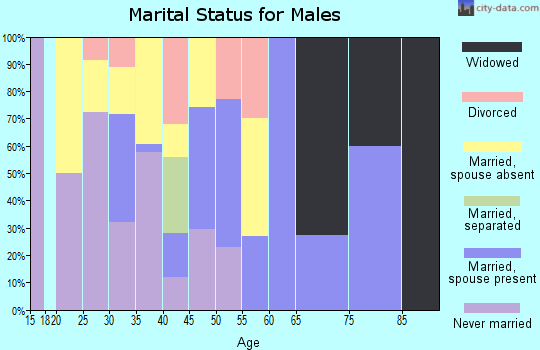 Zip code 79851 marital status for males