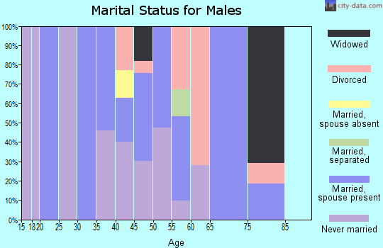 Zip code 79852 marital status for males