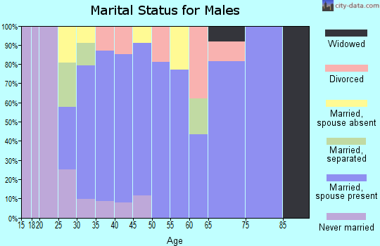 Zip code 79853 marital status for males