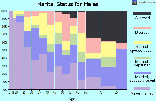 Zip code 79901 marital status for males