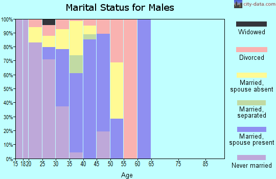 Zip code 79908 marital status for males