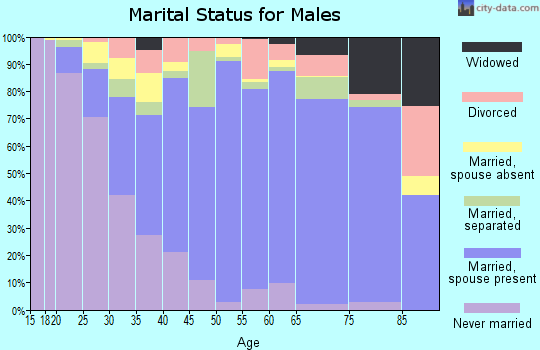 Zip code 79927 marital status for males