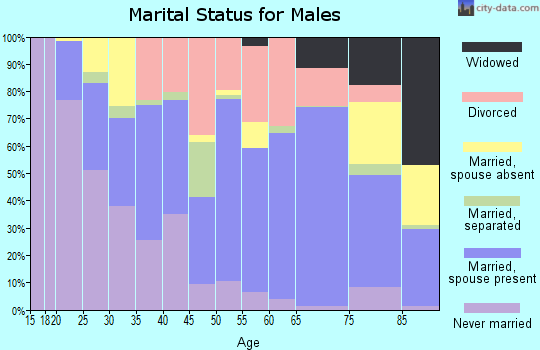 Zip code 79935 marital status for males
